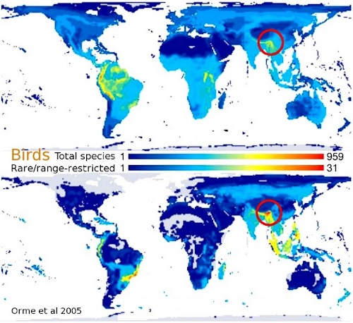 Global Bird Map