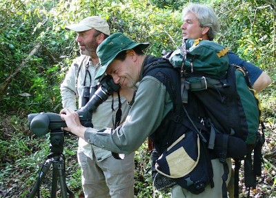 Bird Tourists