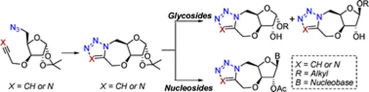 Graphical abstract: Synthesis of 1,2,3-triazole and 1,2,3,4-tetrazole-fused glycosides and nucleosides by an intramolecular 1,3-dipolar cycloaddition reaction