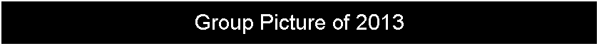 Text Box: Group Picture of 2013