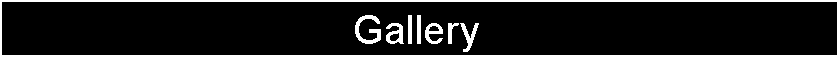 Text Box: Gallery