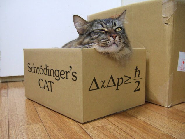 Schrodinger's Cat 