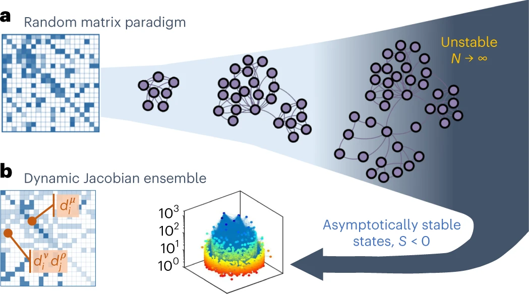 Emergent stability in complex network dynamics