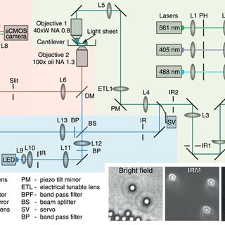 Anita Jannasch's work at University of Tuebingen