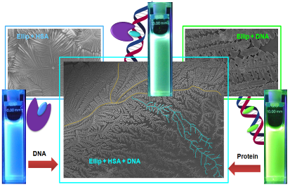 TOC final 130425.tif