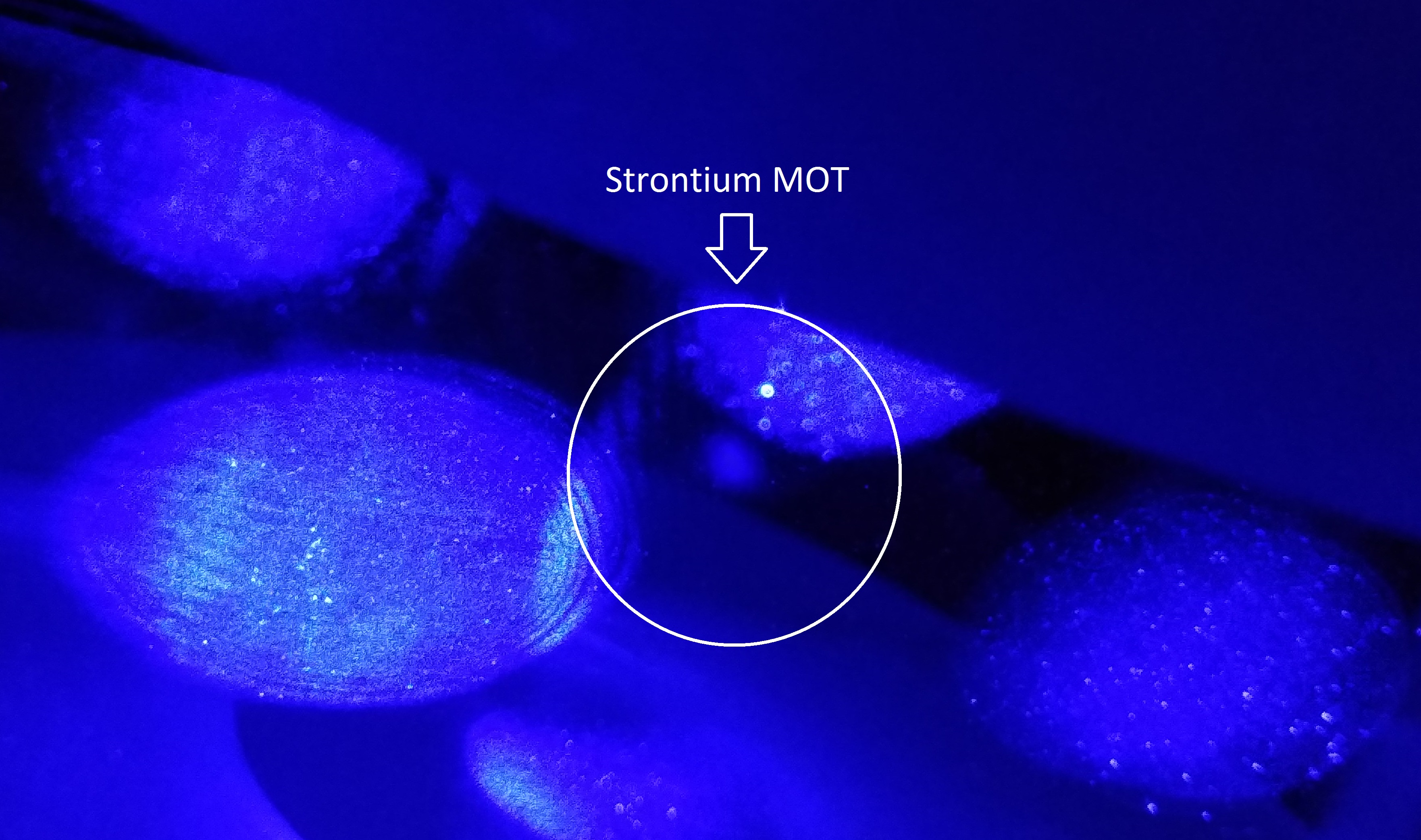 Strontium MOT